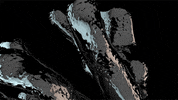 GIF by Miron