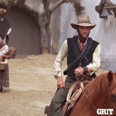 elvis presley horse GIF by GritTV