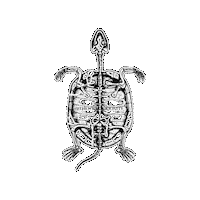 Natural History Death Sticker by The Wild Curiosity