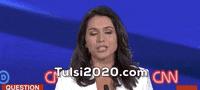 Tulsi Gabbard GIF by GIPHY News
