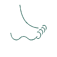 Feet Insoles Sticker by Walk Fulton