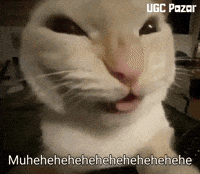 Cat Meme GIF by UGCPazar