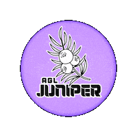 Disc Golf Maple Sticker by AGLDiscs