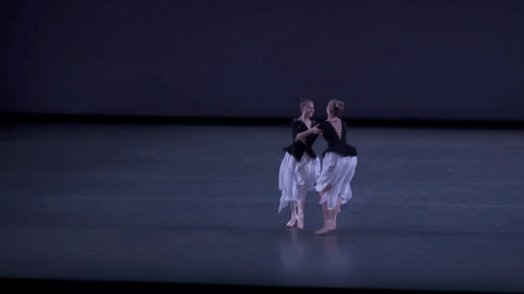 nycb GIF by New York City Ballet