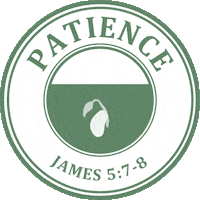 Easter James Sticker by Church of the City New York