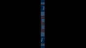 Burlington Jr Barracudas GIF by jrcudas