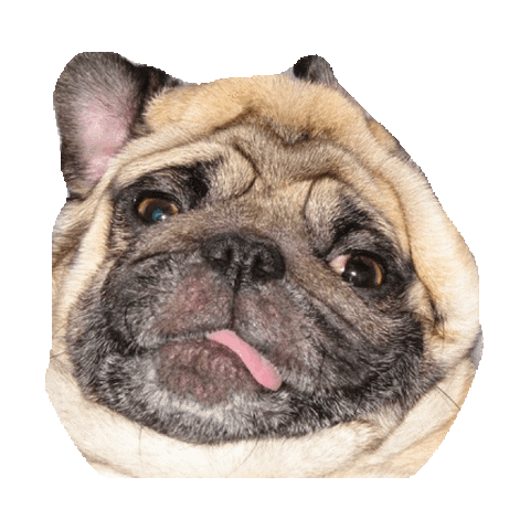 drunk sick GIF by imoji