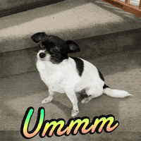 Ummm GIF by TahKole Bio Integration