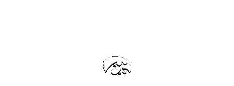 Linkinbio Hawkeye Sticker by University of Iowa Hawkeyes Athletics