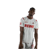 Fc Cologne Bundesliga Sticker by 1. FC Köln