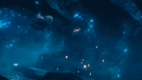 Jim Henson Netflix GIF by The Dark Crystal: Age of Resistance