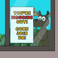 DoYouMoose web3 window join moose GIF