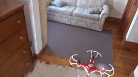 merystyle giphygifmaker GIF