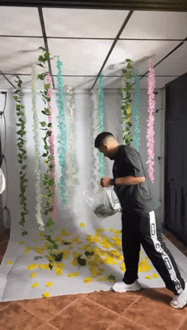 giphy.gif