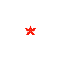 Hong Kong Tattoo Sticker by Hong Kong Airlines