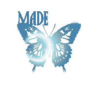 Jesus Christ Sticker by Elevated Faith