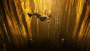 riles against the clock GIF by Rilés