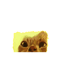 Cat Disapproving Sticker