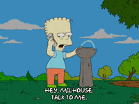 Episode 2 GIF by The Simpsons