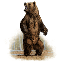red dead redemption bear Sticker by Rockstar Games