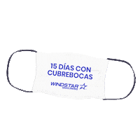 Windstargas windstar Sticker