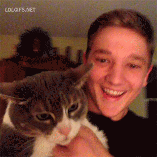 cat kiss GIF