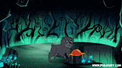 confused dog GIF by Pugatory