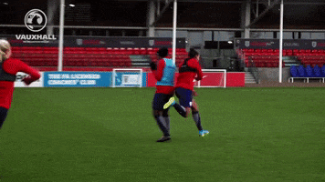 Football Celebrate GIF by Lionesses