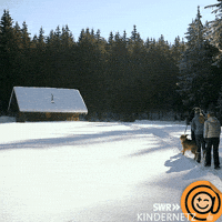 Black Forest Snow GIF by SWR Kindernetz