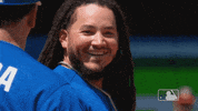regular season sport GIF by MLB