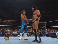 Shawn Michaels Wrestling GIF by WWE
