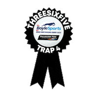 Irish Greyhound Derby Sticker by Go Greyhound Racing