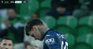 Champions League Football GIF by UEFA