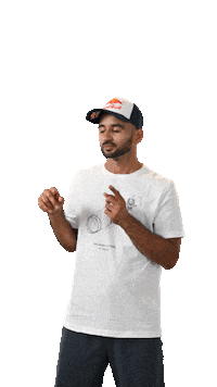 Gives You Wiiings Hockey Team Sticker by Red Bull