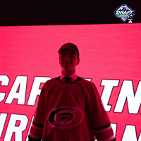 ice hockey sport GIF by NHL