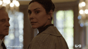 Usa Network Television GIF by Treadstone