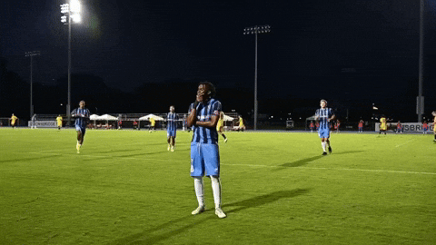 Usl2 Lbfc GIF by Lionsbridge FC