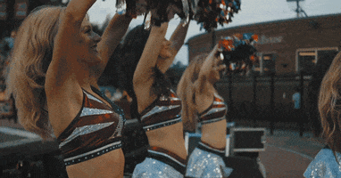 montreal alouettes football GIF by Alouettes de Montréal