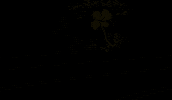 Cancer GIF by Sourire à la Vie