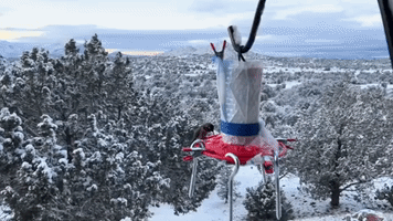 Hummingbird Visits Feeder as Winter Weather Grips Central Arizona