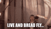 flowers in the dirt GIF by Paul McCartney