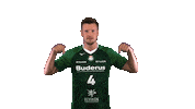 hsgwetzlar handball-bundesliga wetzlar hsg wetzlar hsgwetzlar Sticker