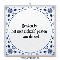 Wijsheid Reflectie GIF by Tegelspreuken.nl