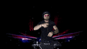 AdamBrownNL dance party dj festival GIF