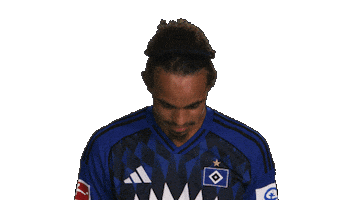 Look Up Hamburger Sv Sticker by Bundesliga