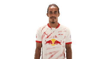 Come Rb Leipzig Sticker by Bundesliga