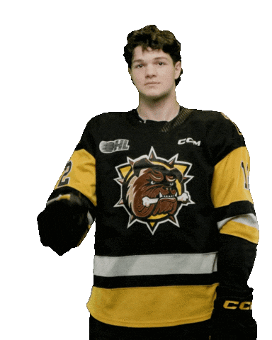 BrantfordBulldogs giphyupload hockey bulldogs ohl Sticker