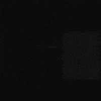 Job Application GIF