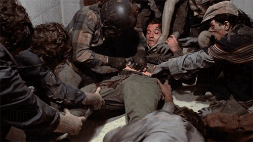 day of the dead horror GIF by Shudder