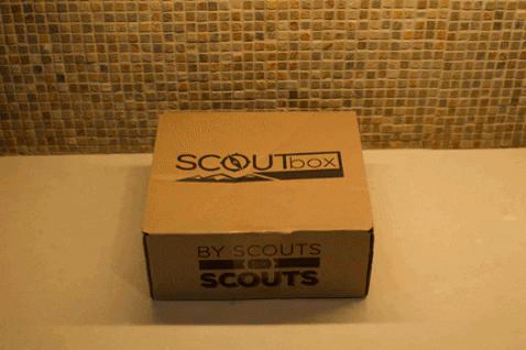 QuickSurvive giphygifmaker SCOUTS girlscouts subscriptionbox GIF
